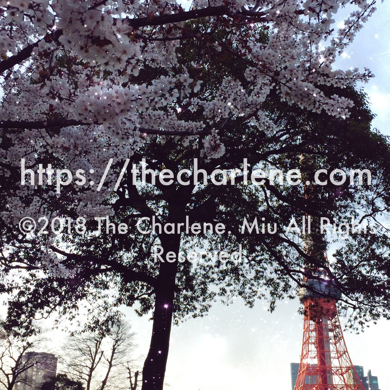 バラ科サクラ属のアカバスモモ（別名ベニバスモモ / Prunus cerasifera）©2018 The Charlene. Miu All Rights Reserved.